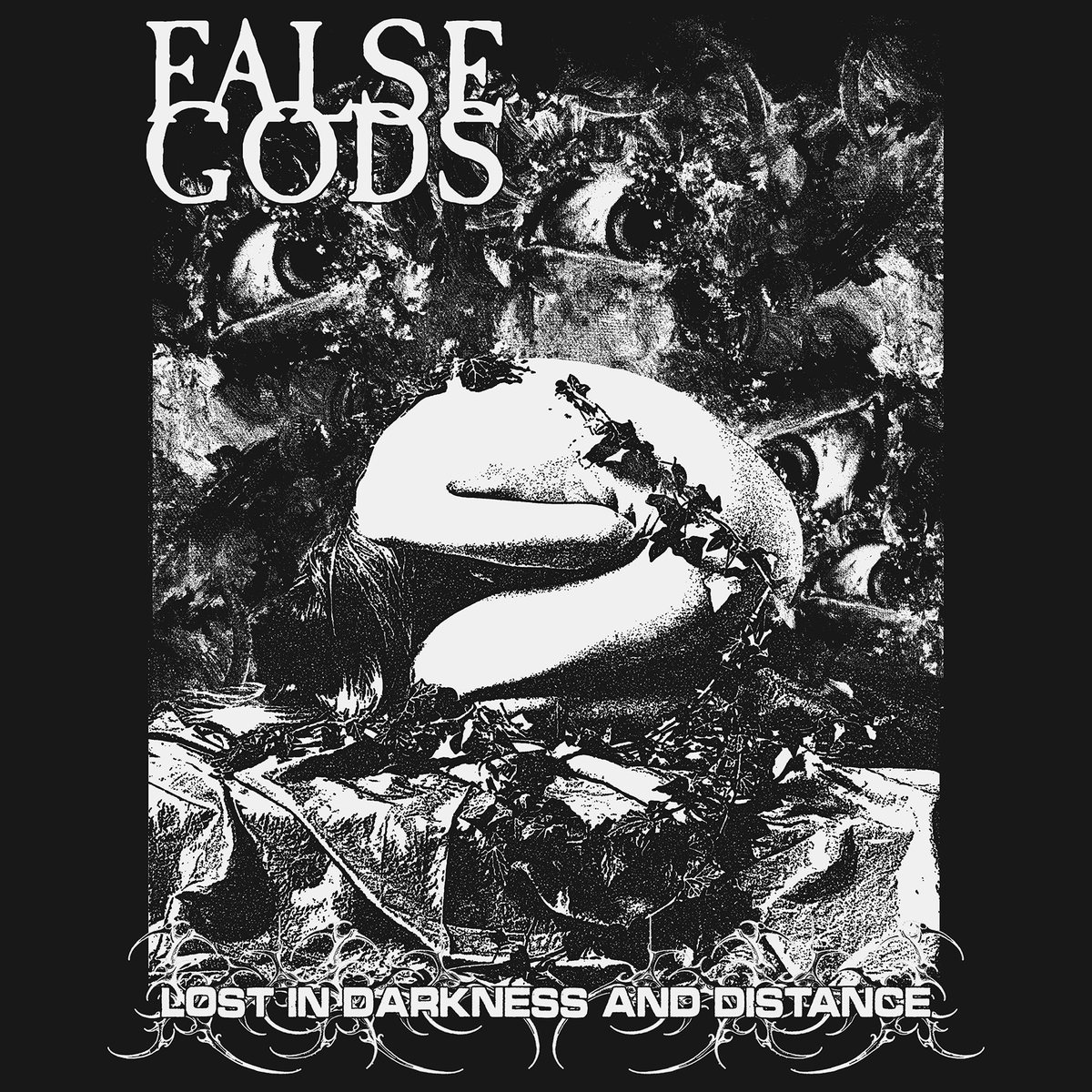 Lost in Darkness and Distance cover